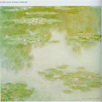 微信睡莲头像_高清睡莲花朵图片大全