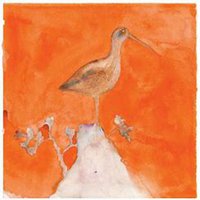 微信石榴树头像_高清石榴树微信头像