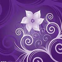 微信紫罗兰头像_高清紫罗兰花朵图片大全