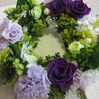 微信紫薇花头像_高清紫薇花花朵图片大全