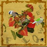 微信红掌花头像_高清红掌花花朵图片大全