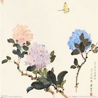 微信绣球花头像_高清绣球花花朵图片大全