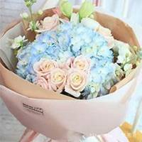 微信绣球花头像_高清绣球花花朵图片大全