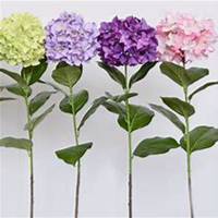 微信绣球花头像_高清绣球花花朵图片大全