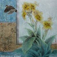 微信美人蕉花朵头像_高清美人蕉花朵花朵图片大全