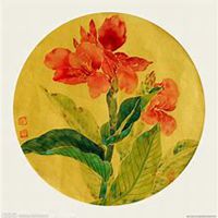 微信美人蕉花朵头像_高清美人蕉花朵花朵图片大全