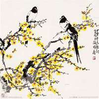 微信腊梅头像_高清腊梅花朵图片大全