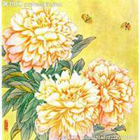 微信芍药头像_高清芍药花朵图片大全