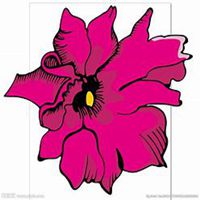 微信芍药头像_高清芍药花朵图片大全