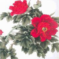 微信芍药头像_高清芍药花朵图片大全