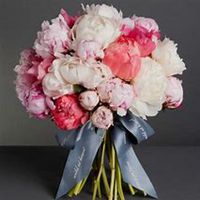 微信芍药头像_高清芍药花朵图片大全