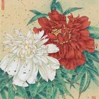 微信芍药头像_高清芍药花朵图片大全