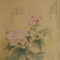 微信芍药头像_高清芍药花朵图片大全
