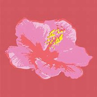 微信芙蓉头像_高清芙蓉花朵图片大全