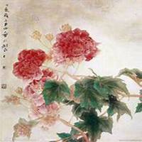 微信芙蓉头像_高清芙蓉花朵图片大全