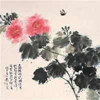 微信芙蓉头像_高清芙蓉花朵图片大全