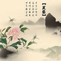 微信芙蓉头像_高清芙蓉花朵图片大全