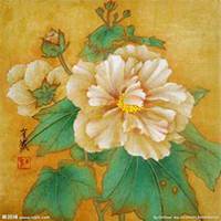 微信芙蓉头像_高清芙蓉花朵图片大全