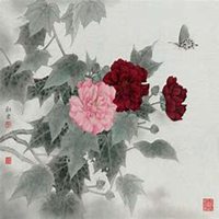 微信芙蓉头像_高清芙蓉花朵图片大全