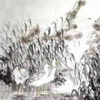 微信芦苇头像_高清芦苇花朵图片大全