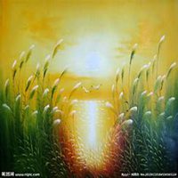 微信芦苇头像_高清芦苇花朵图片大全