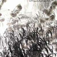 微信芦苇头像_高清芦苇花朵图片大全