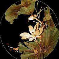 微信芦苇头像_高清芦苇花朵图片大全