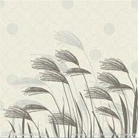 微信芦苇头像_高清芦苇花朵图片大全