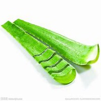 微信芦荟头像_高清芦荟花朵图片大全