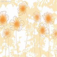 微信茉莉花头像_高清茉莉花花朵图片大全