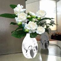 微信茉莉花头像_高清茉莉花花朵图片大全