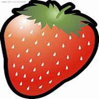 微信草莓头像_高清草莓花朵图片大全