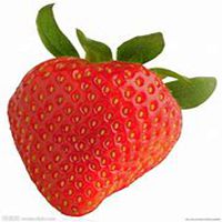 微信草莓头像_高清草莓花朵图片大全