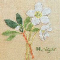 微信草莓头像_高清草莓花朵图片大全