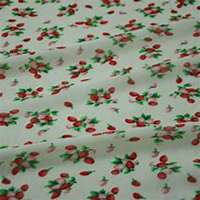 微信草莓头像_高清草莓花朵图片大全