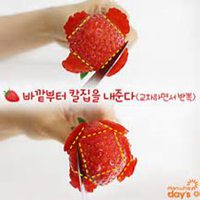 微信草莓头像_高清草莓花朵图片大全