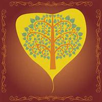 微信菩提树头像_高清菩提树花朵图片大全