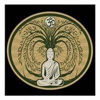 微信菩提树头像_高清菩提树花朵图片大全