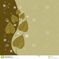 微信菩提树头像_高清菩提树花朵图片大全