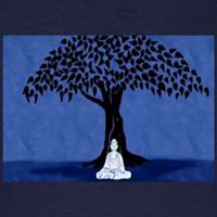 微信菩提树头像_高清菩提树花朵图片大全