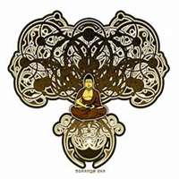 微信菩提树头像_高清菩提树花朵图片大全