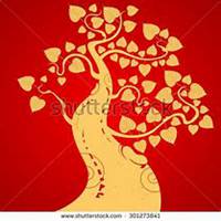 微信菩提树头像_高清菩提树花朵图片大全