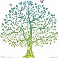 微信菩提树头像_高清菩提树花朵图片大全