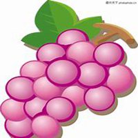 微信葡萄头像_高清葡萄花朵图片大全