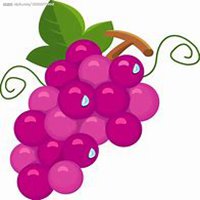 微信葡萄头像_高清葡萄花朵图片大全