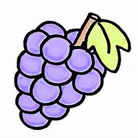 微信葡萄头像_高清葡萄花朵图片大全