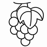 微信葡萄头像_高清葡萄花朵图片大全