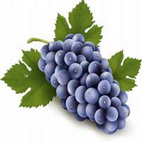 微信葡萄头像_高清葡萄花朵图片大全