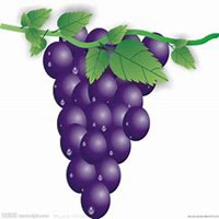 微信葡萄头像_高清葡萄花朵图片大全
