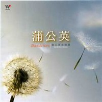 微信蒲公英头像_高清蒲公英花朵图片大全